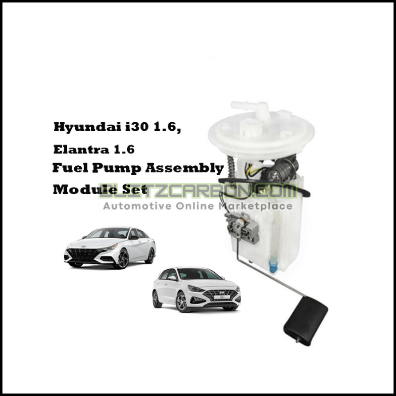 Hyundai i30 1.6, Elantra 1.6 Fuel Pump Assembly Module Set